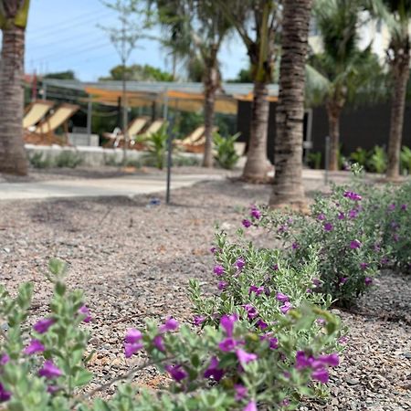 Wanderlust Garden Inn Муи Не Екстериор снимка